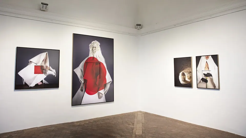 Installation view, Hybrida