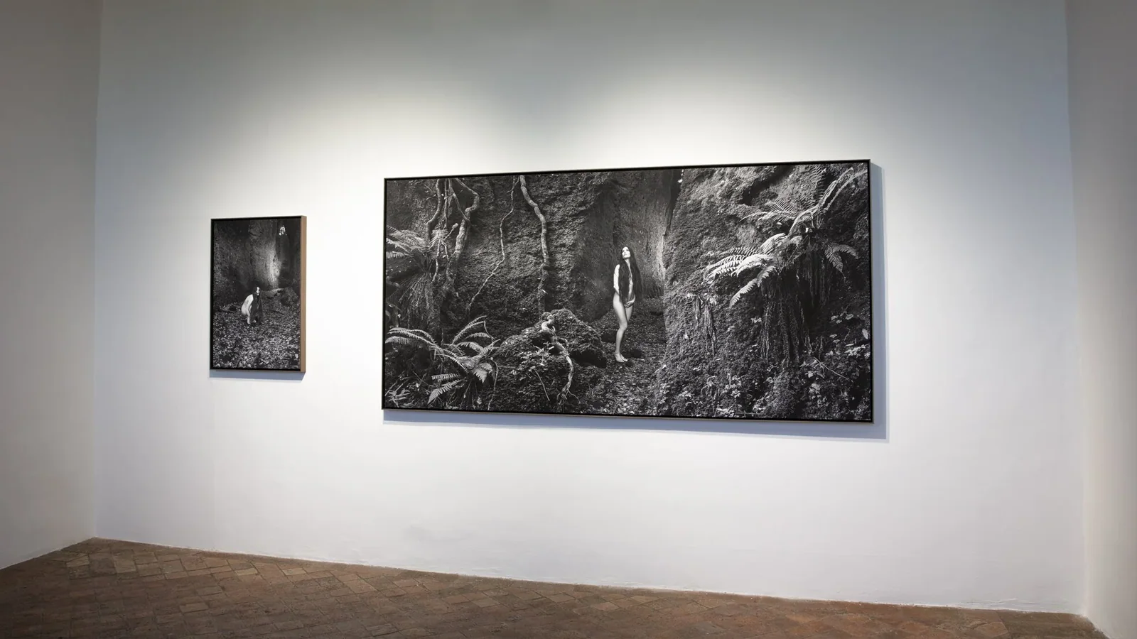 Installation view, Hybrida