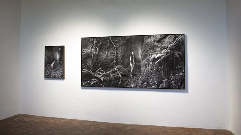 Installation view, Hybrida
