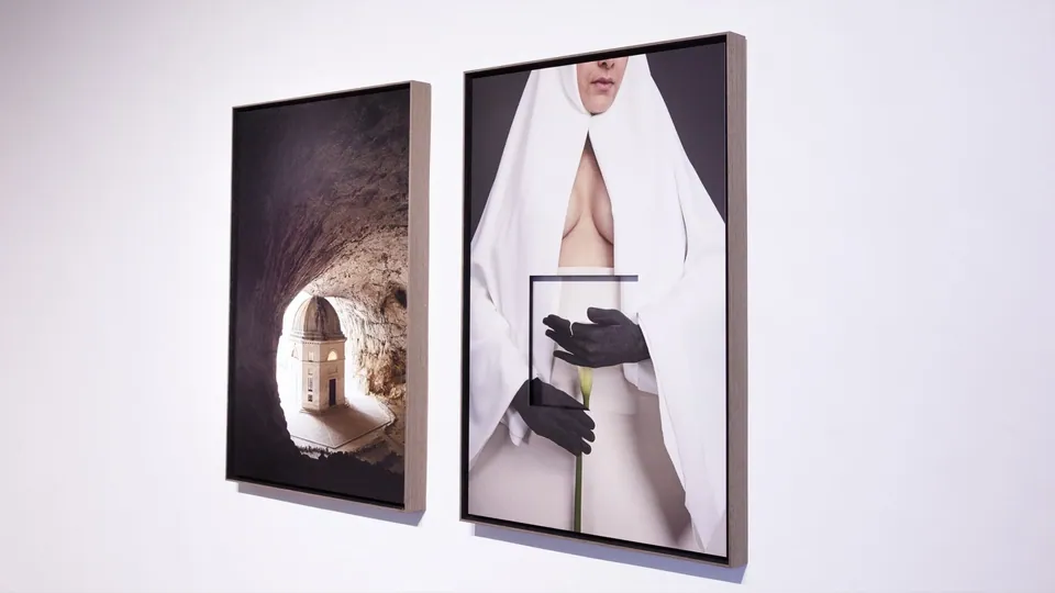Installation view, Hybrida