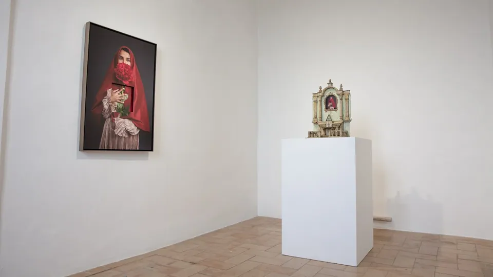 Installation view, Hybrida