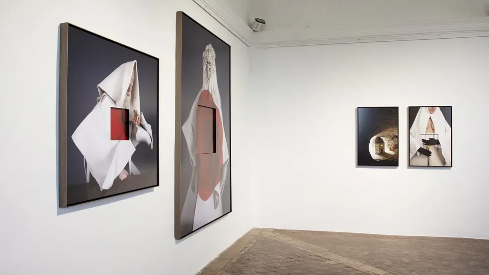Installation view, Hybrida