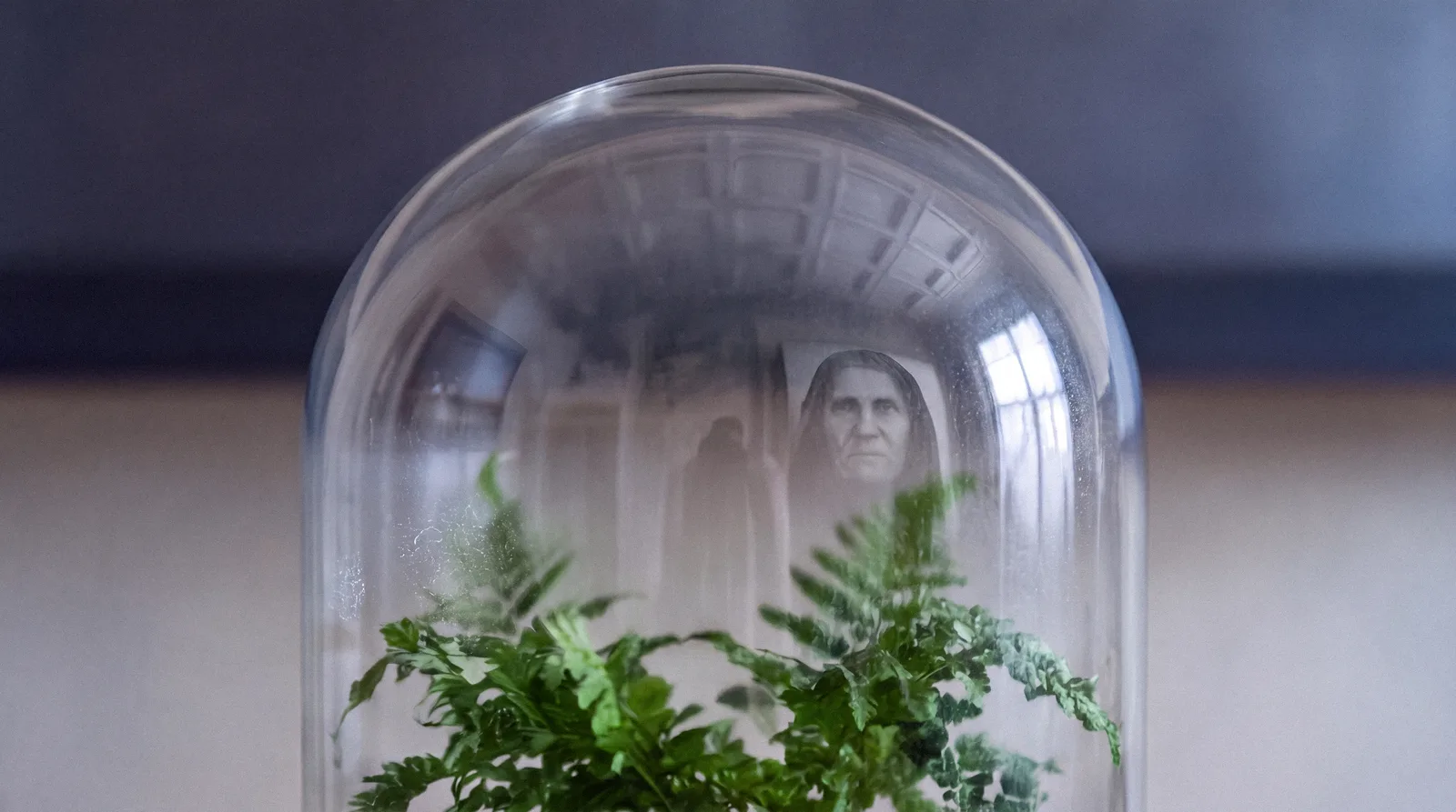 Matteo Basilé, Superstes — Magnifica Humanitas, Italian Cultural Institute in Paris