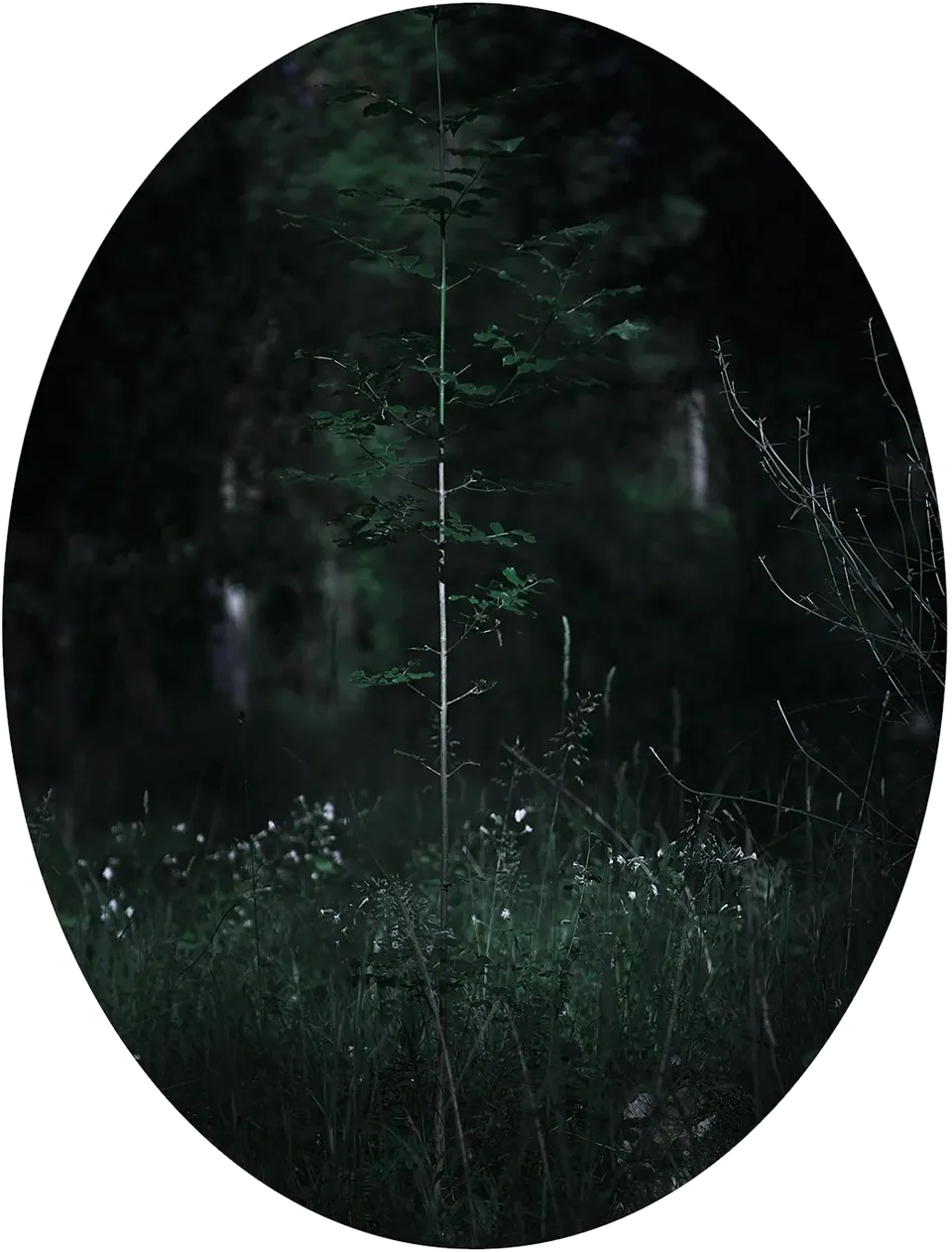 Matteo Basilé, Unseen 06 (2 parts), 2014 — Unseen