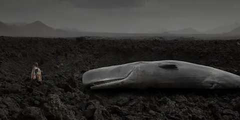 Matteo Basilé, Viaggio al centro della Terra