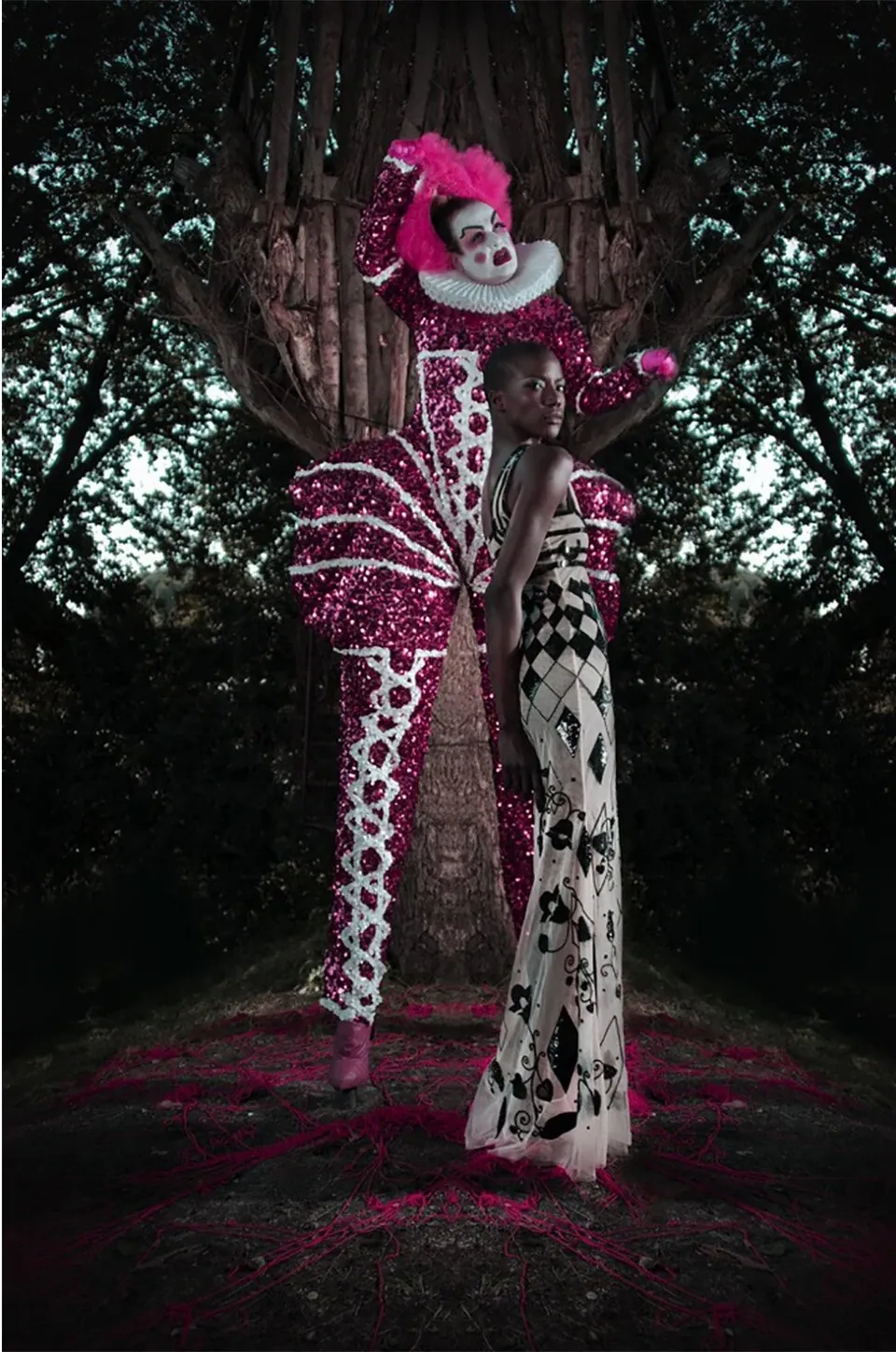 Matteo Basilé, Wonderland 01 (2 parts), 2008 — Wonderland